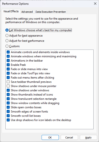 Windows 11 Performance Options
