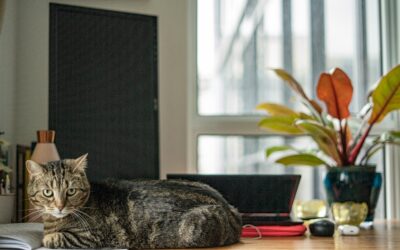 The Spreadsheet Wars: Anthropic’s Claude Takes on Microsoft Copilot in the Heart of Finance