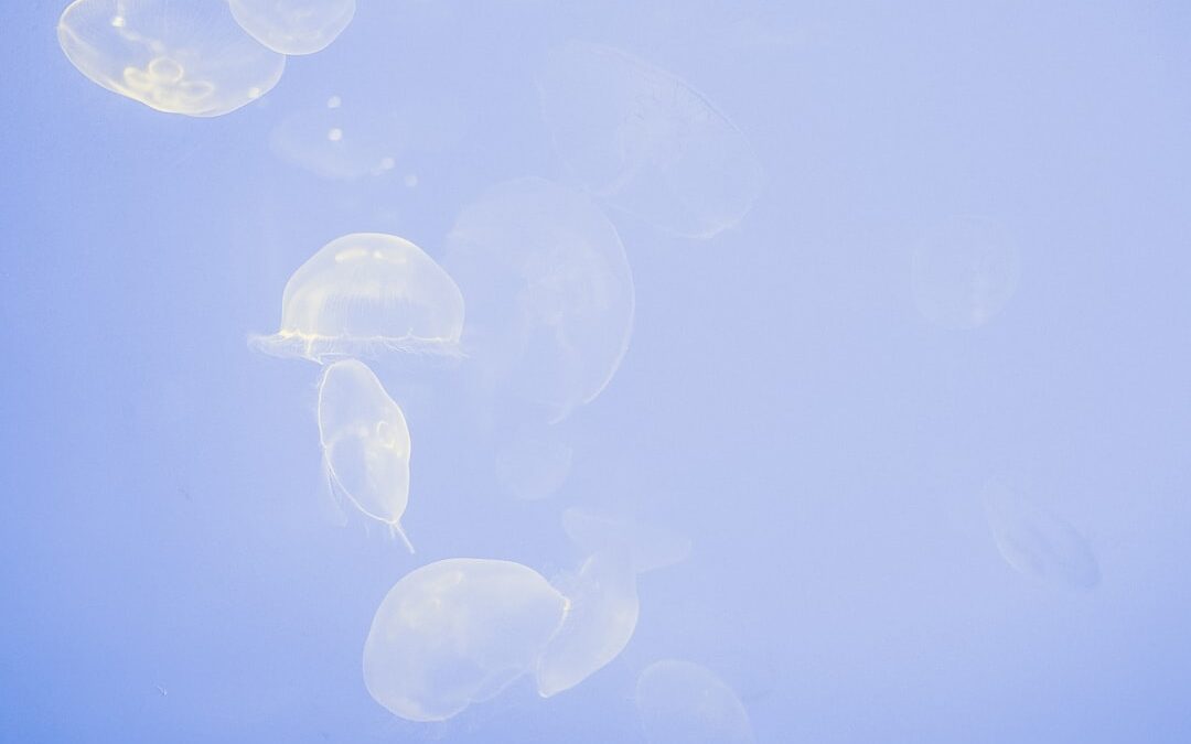 The Unseen Trainer: Are Apple’s New AirPods Pro a Secret Fitness Weapon?