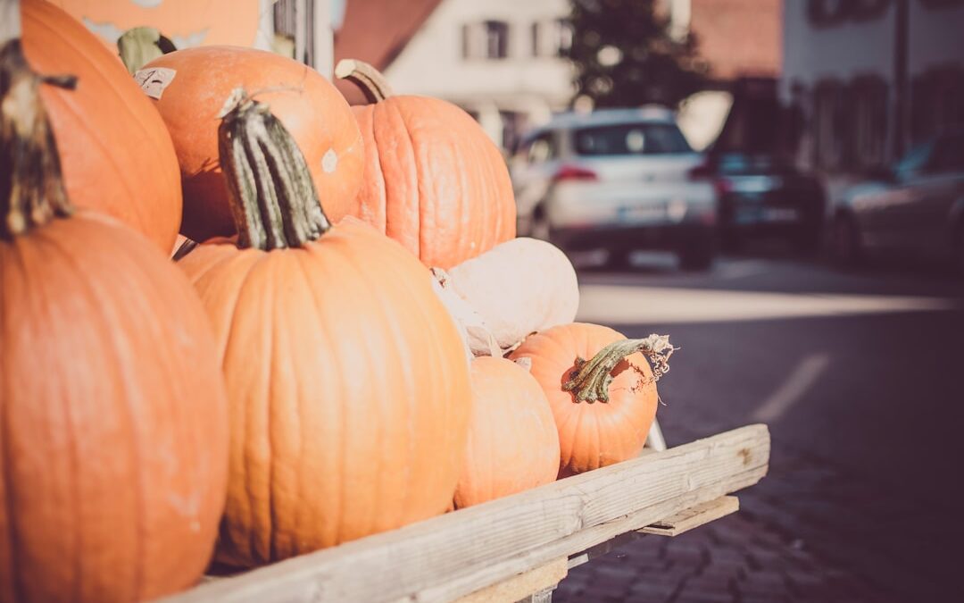 Beyond the Grave: Why November is the New Prime Time for Horror